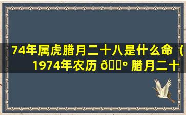 74年属虎腊月二十八是什么命（1974年农历 🌺 腊月二十 🌳 八是几月几号）